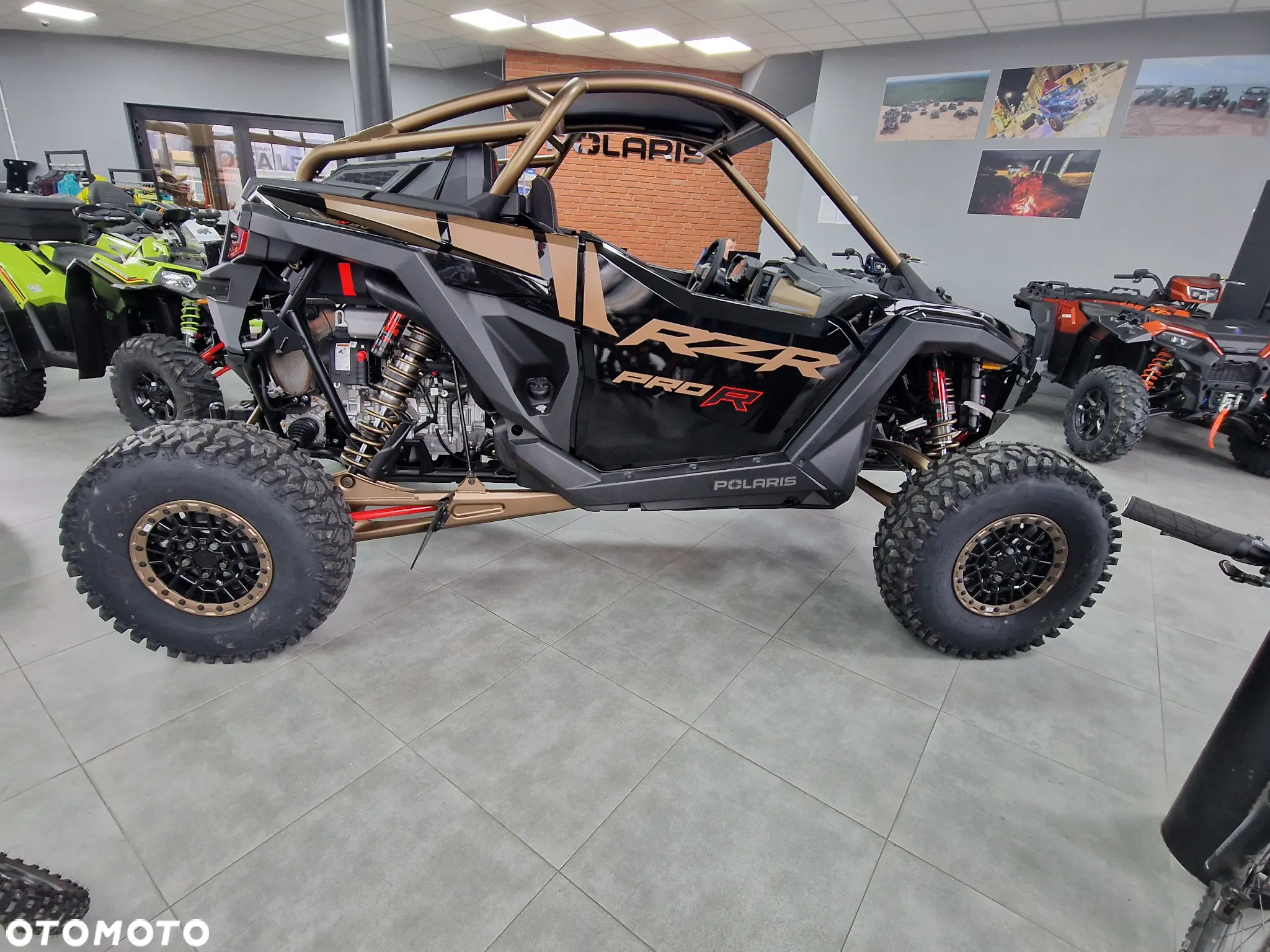 Polaris RZR - 10