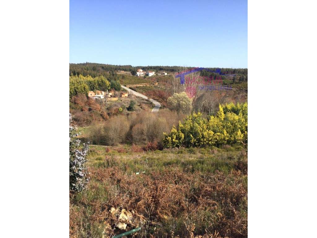 Propriedade com 17191m2 de terreno e ruina - Grande imagem: 5/26