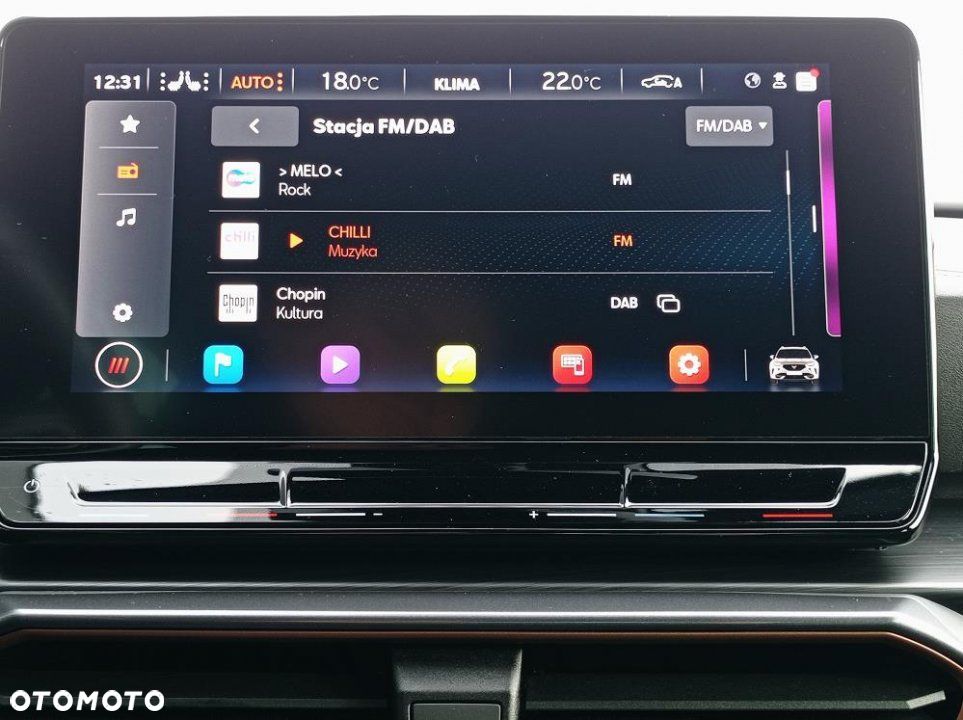 Cupra Formentor - 39