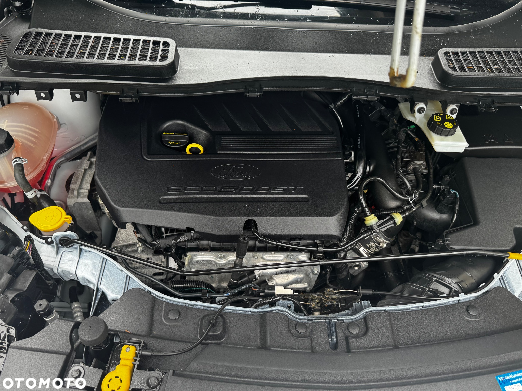 Ford Kuga 1.5 EcoBoost 2x4 Trend - 24