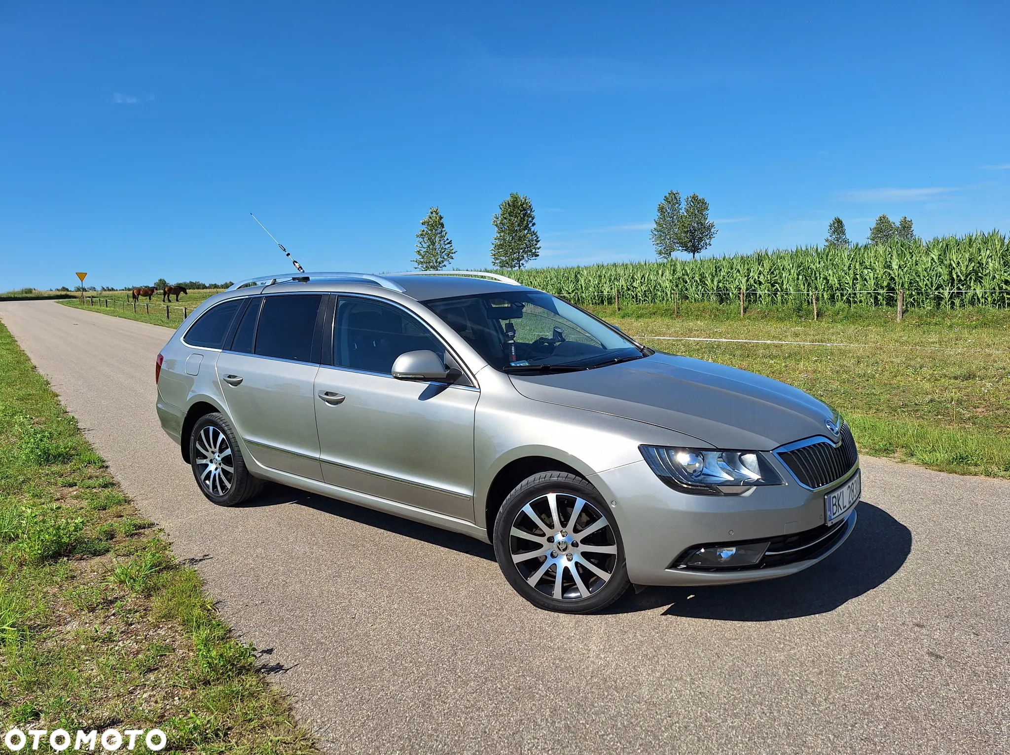 Skoda Superb 2.0 TDI 4x4 Platinum DSG - 2