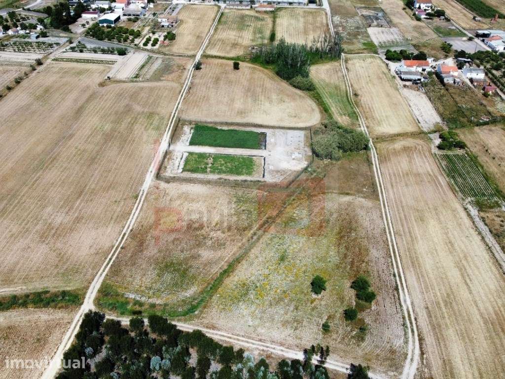 TERRENO DE 9HA COM VIABILIDADE PARA 16 FOGOS - TAIPADAS - Grande imagem: 3/6