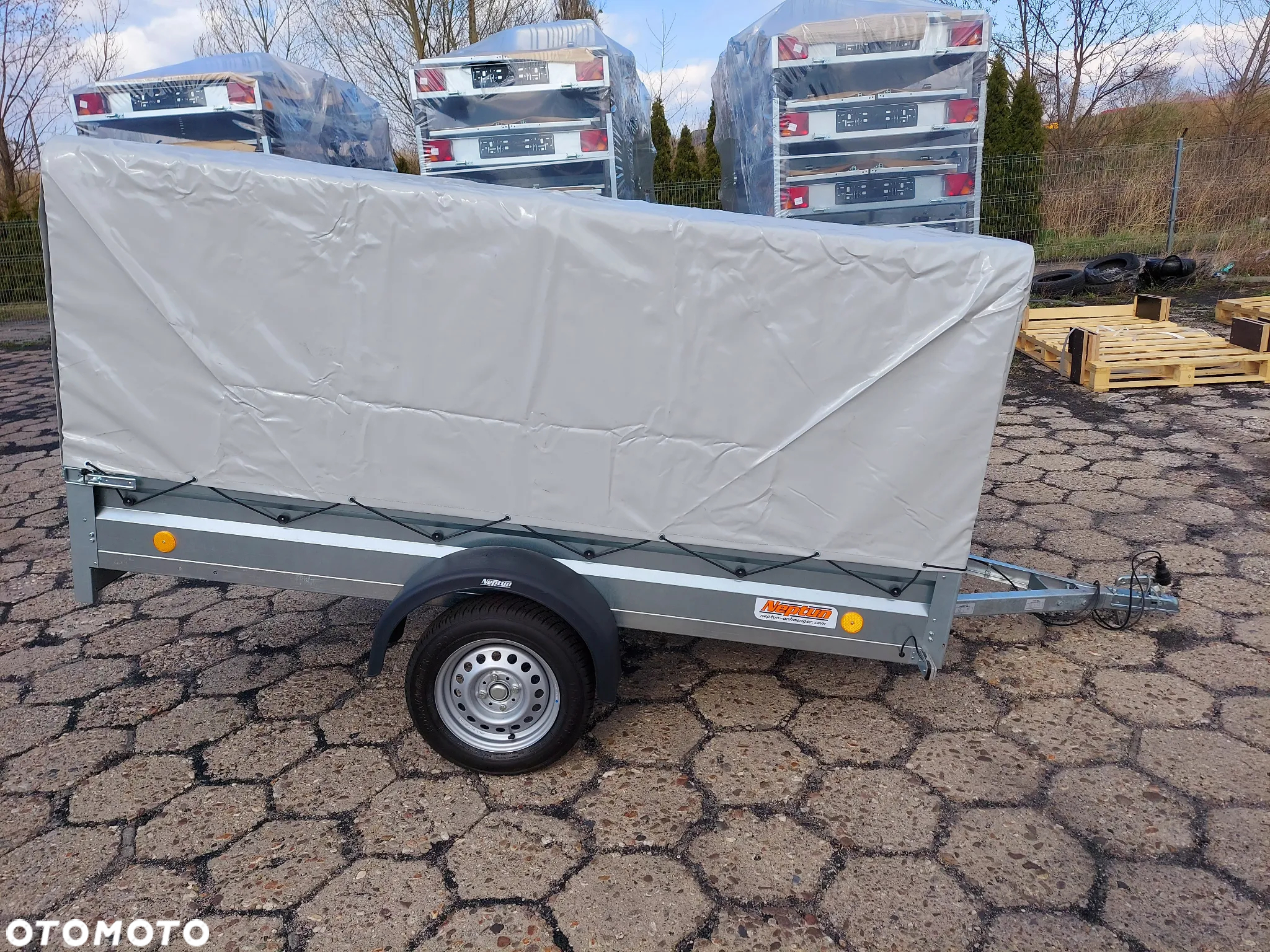 Neptun 253 ptw - 7