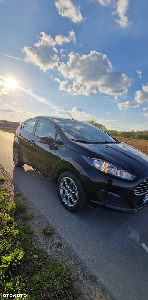 Ford Fiesta - 1