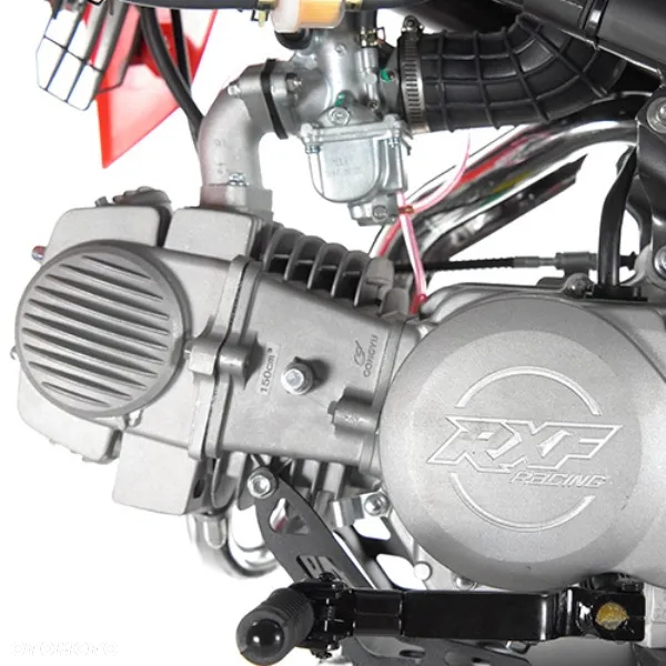 APOLLO RXF