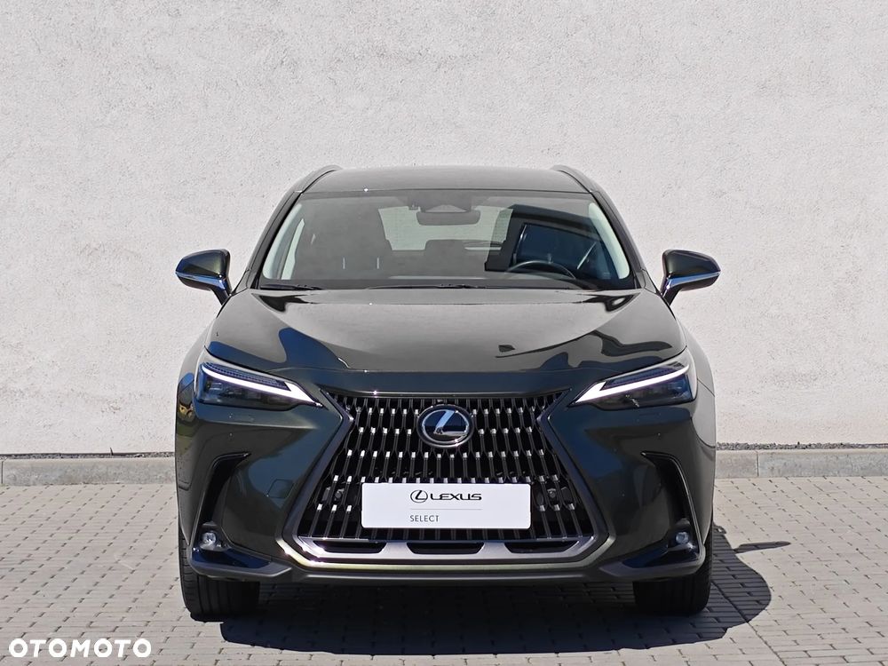 Lexus NX 350h Prestige AWD - 7