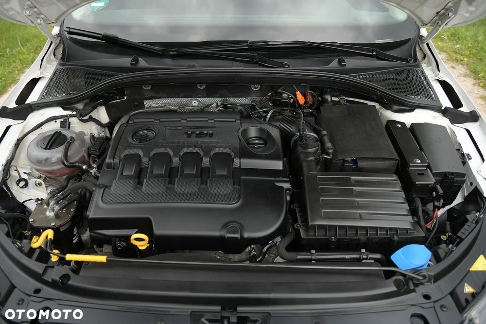 Skoda Octavia - 38