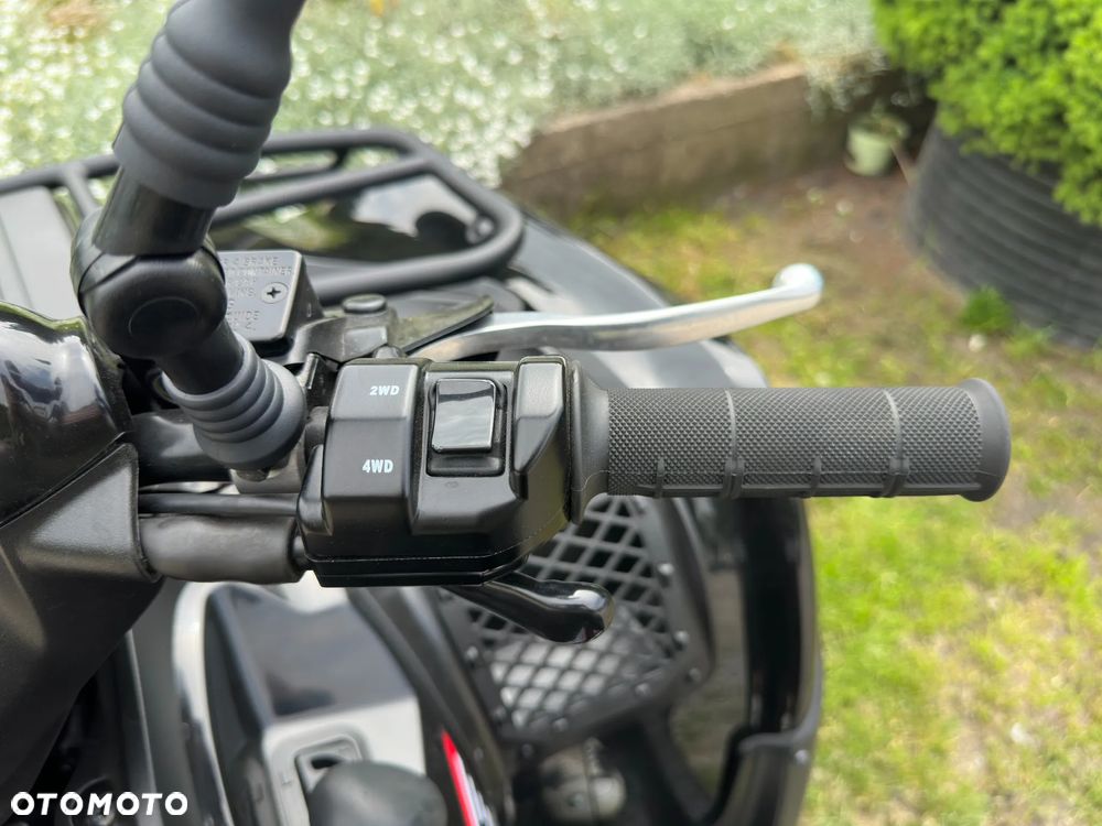 Kawasaki Brute Force - 8