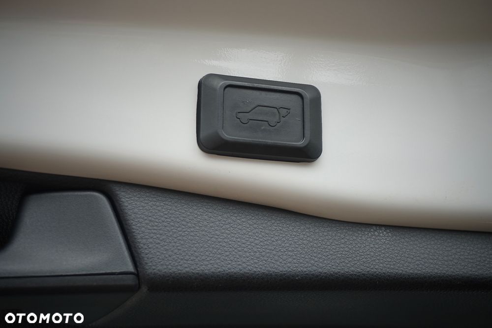 Toyota RAV4 2.5 Hybrid Executive 4x2 - 21