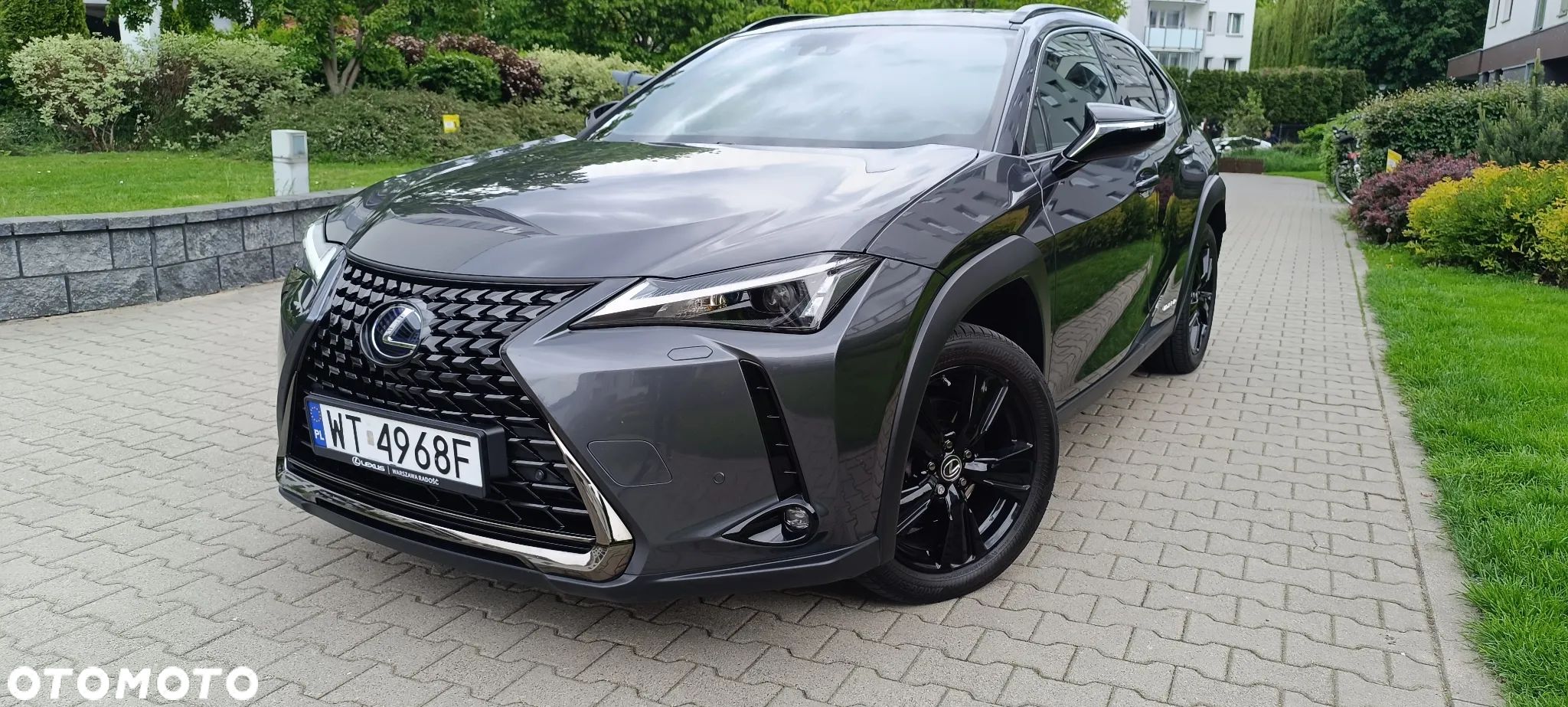 Lexus UX 250h GPF F Impression 2WD - 1