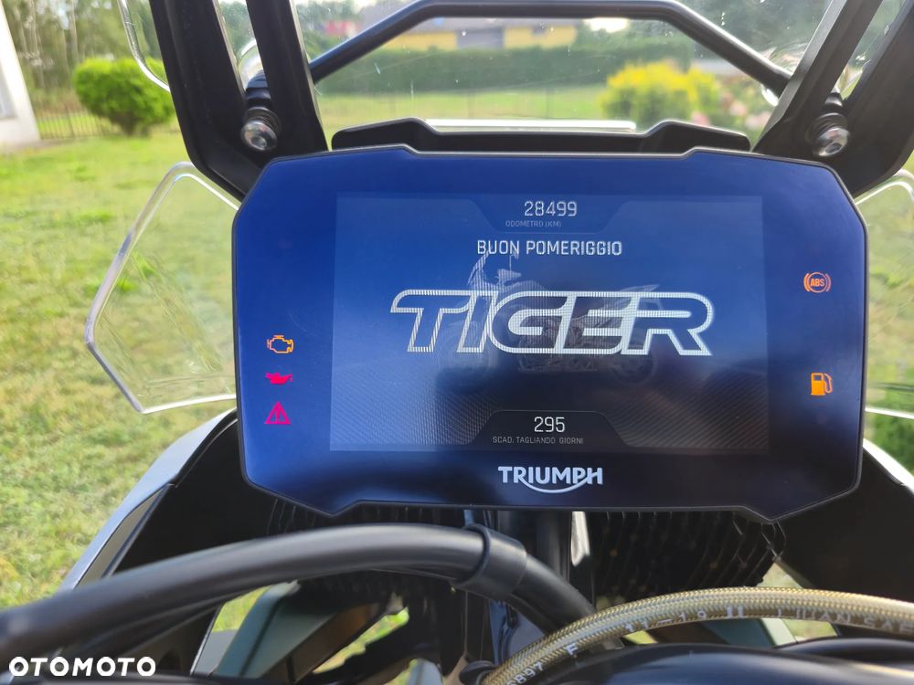 Triumph Tiger - 11