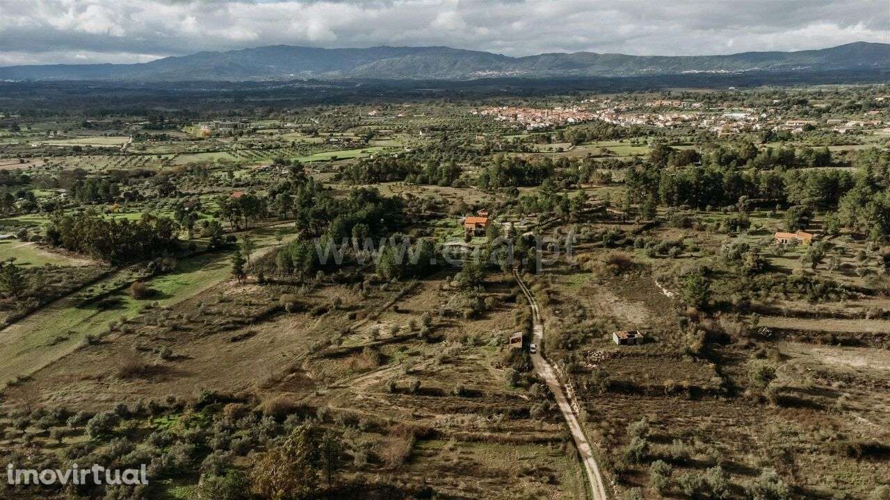 Quinta / Fundão, Orca - Grande imagem: 5/5