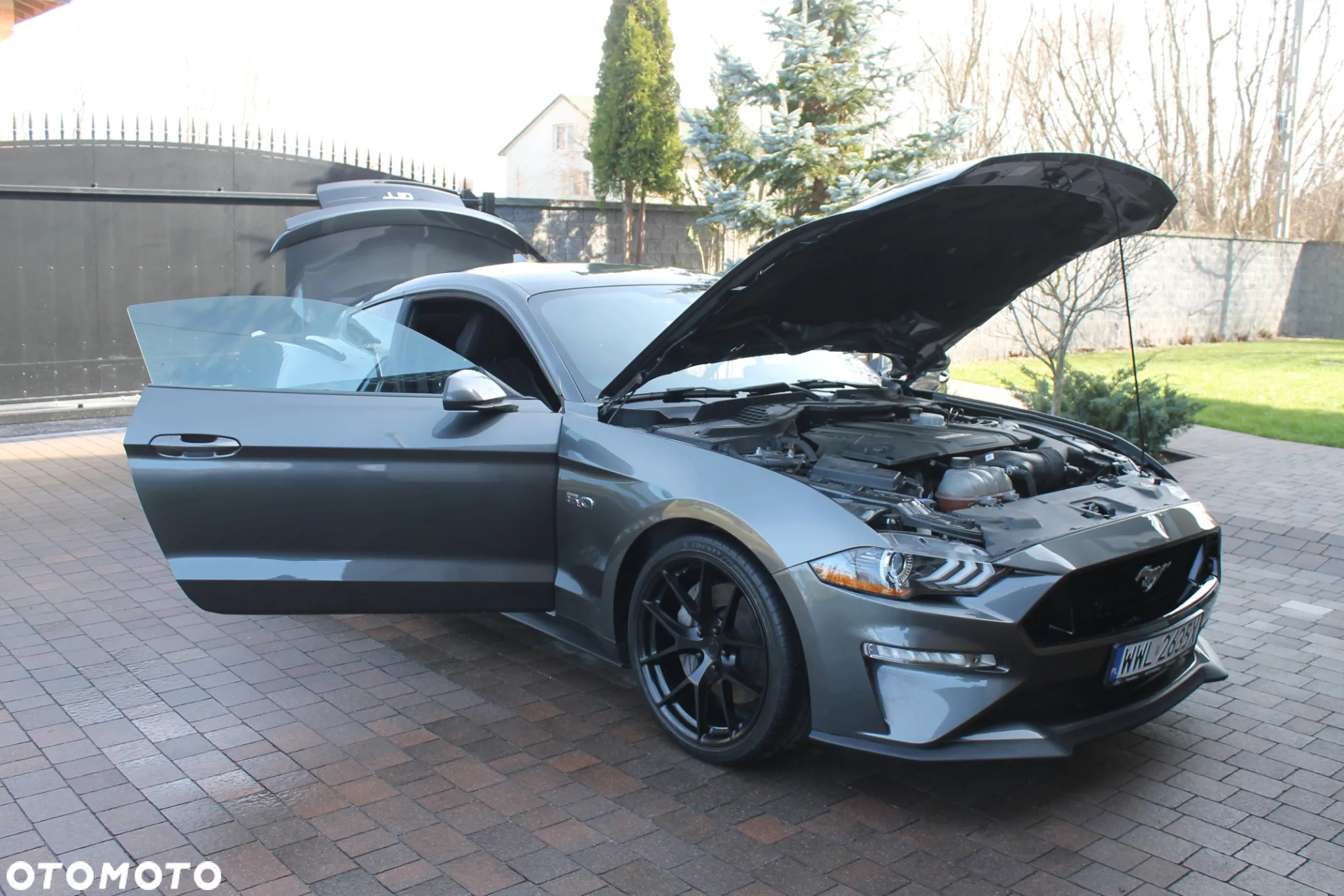 Ford Mustang 5.0 V8 GT - 29