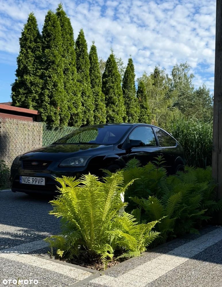 Ford Focus - 2