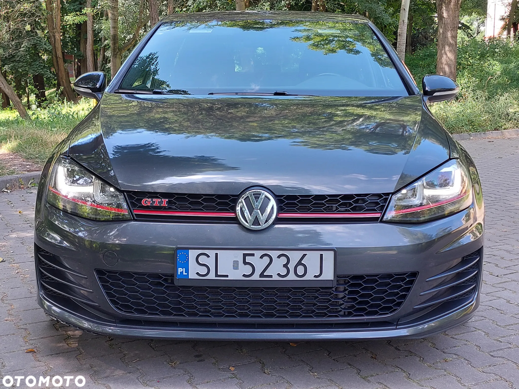 Volkswagen Golf VII 2.0 TSI BMT GTI Performance - 7