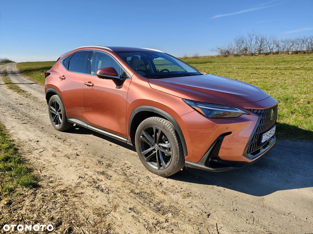 Lexus NX - 4
