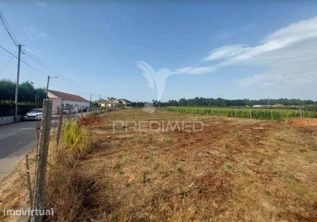 Terreno Rústico em Oiã com 4.190m2 - Grande imagem: 4/5