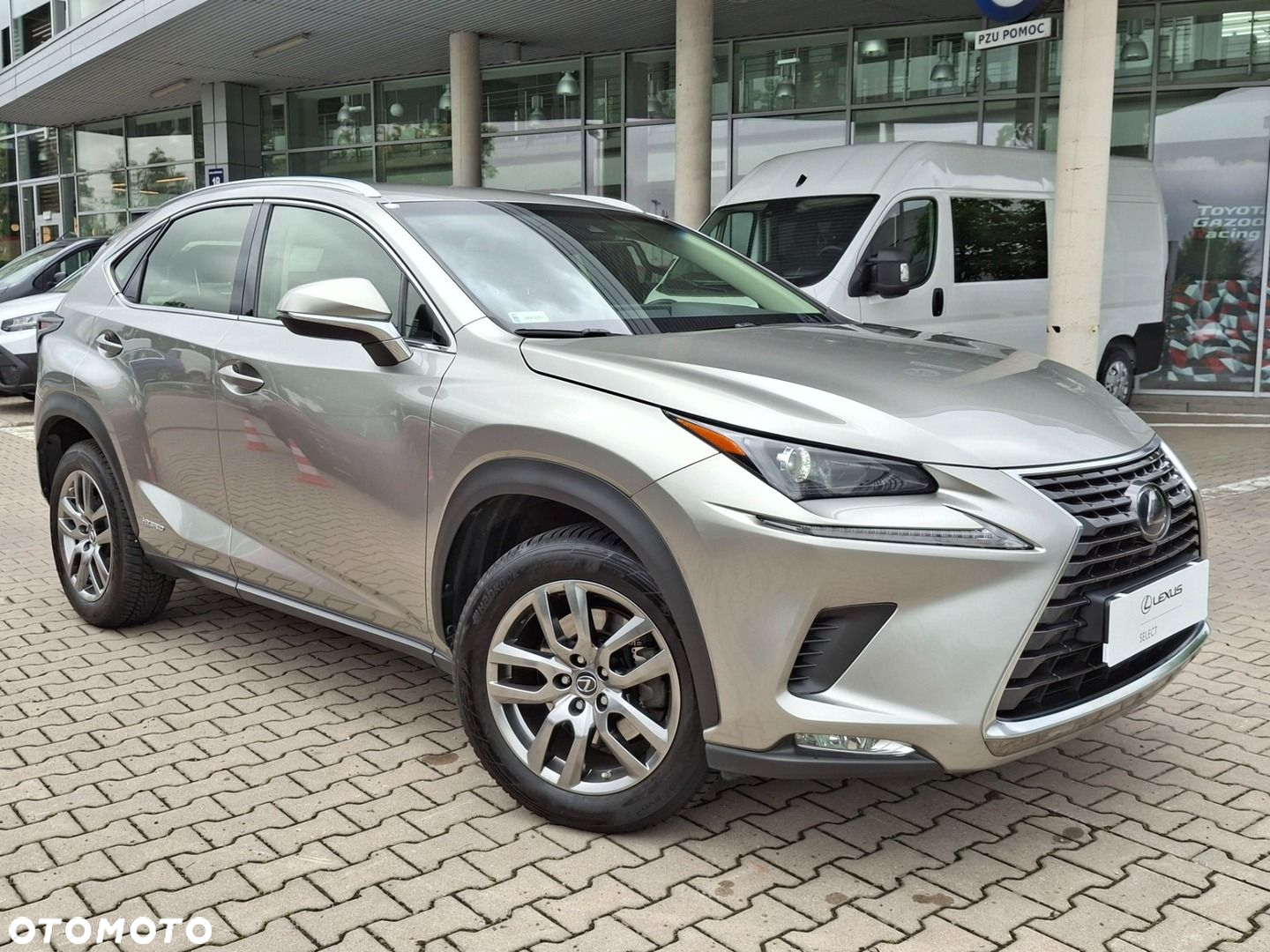 Lexus NX - 29