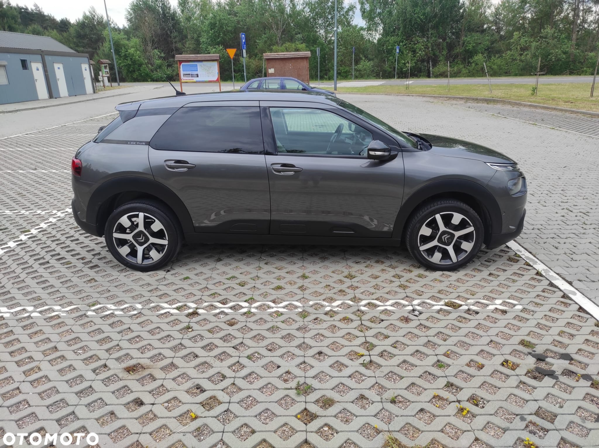 Citroën C4 Cactus - 8