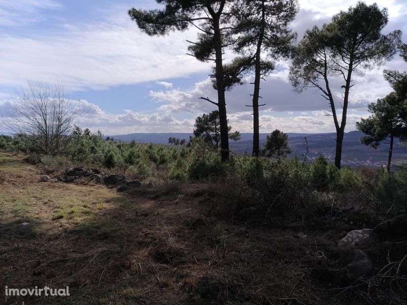 Terreno sito ao Pequito - Grande imagem: 4/7
