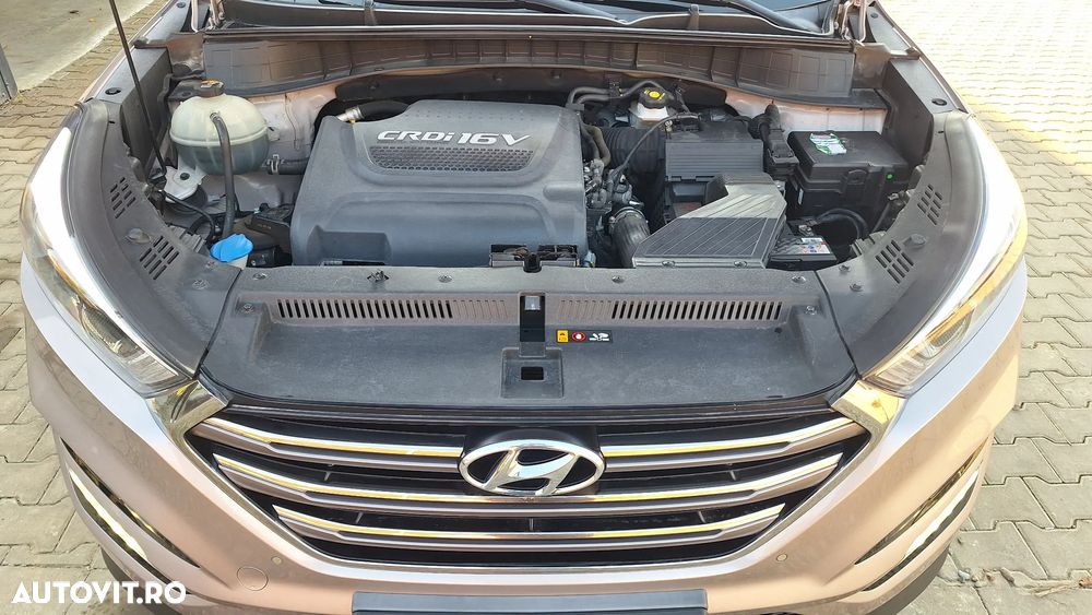 Hyundai Tucson blue 2.0 CRDi 4WD Aut. Premium - 18