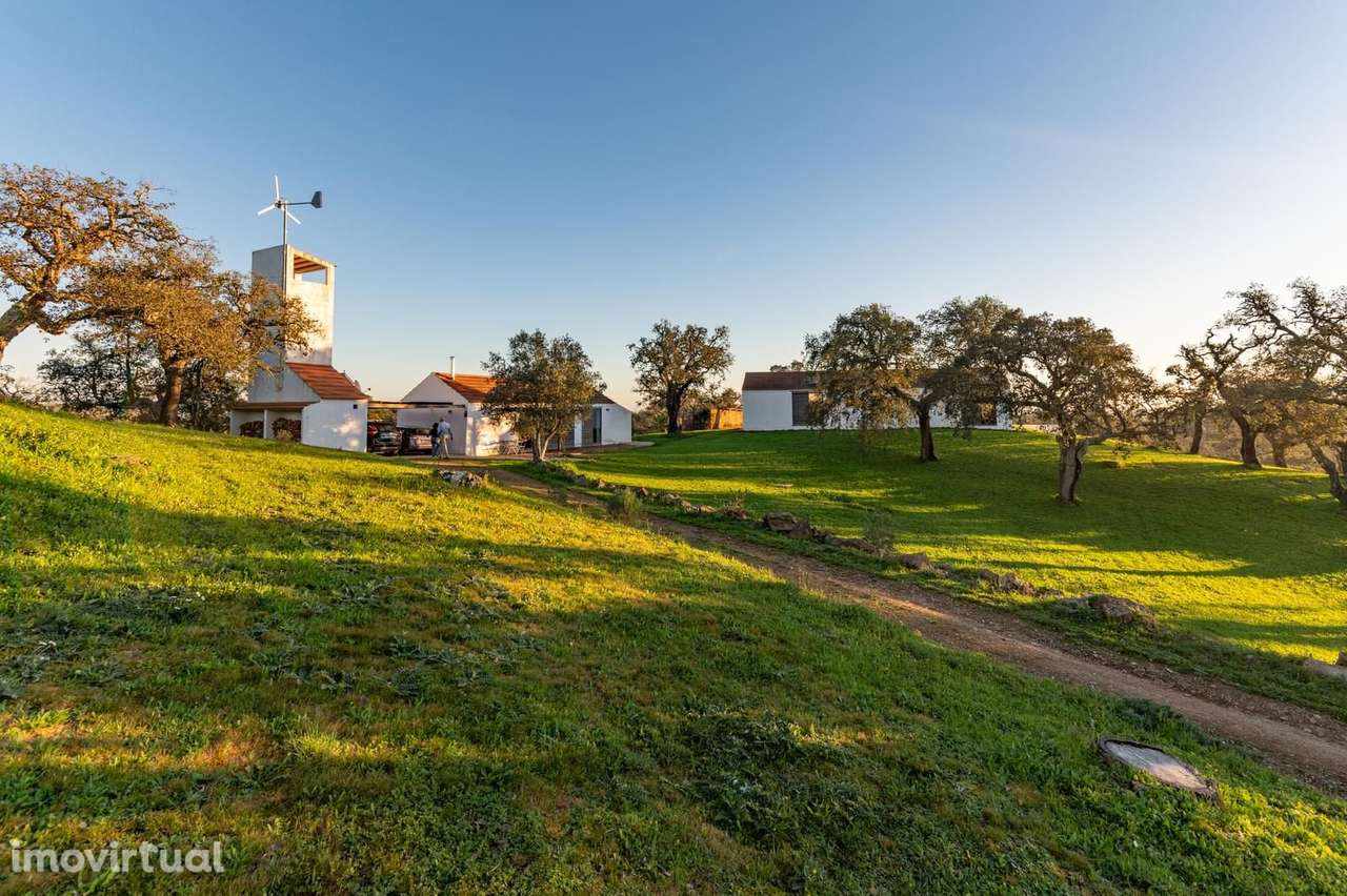 Quinta 6.9 ha, São Francisco da Serra, Santiago do Cacem - Grande imagem: 2/50