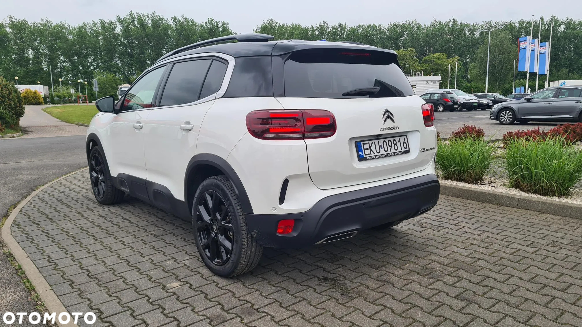 Citroën C5 Aircross 1.2 PureTech Shine Pack EAT8 - 8