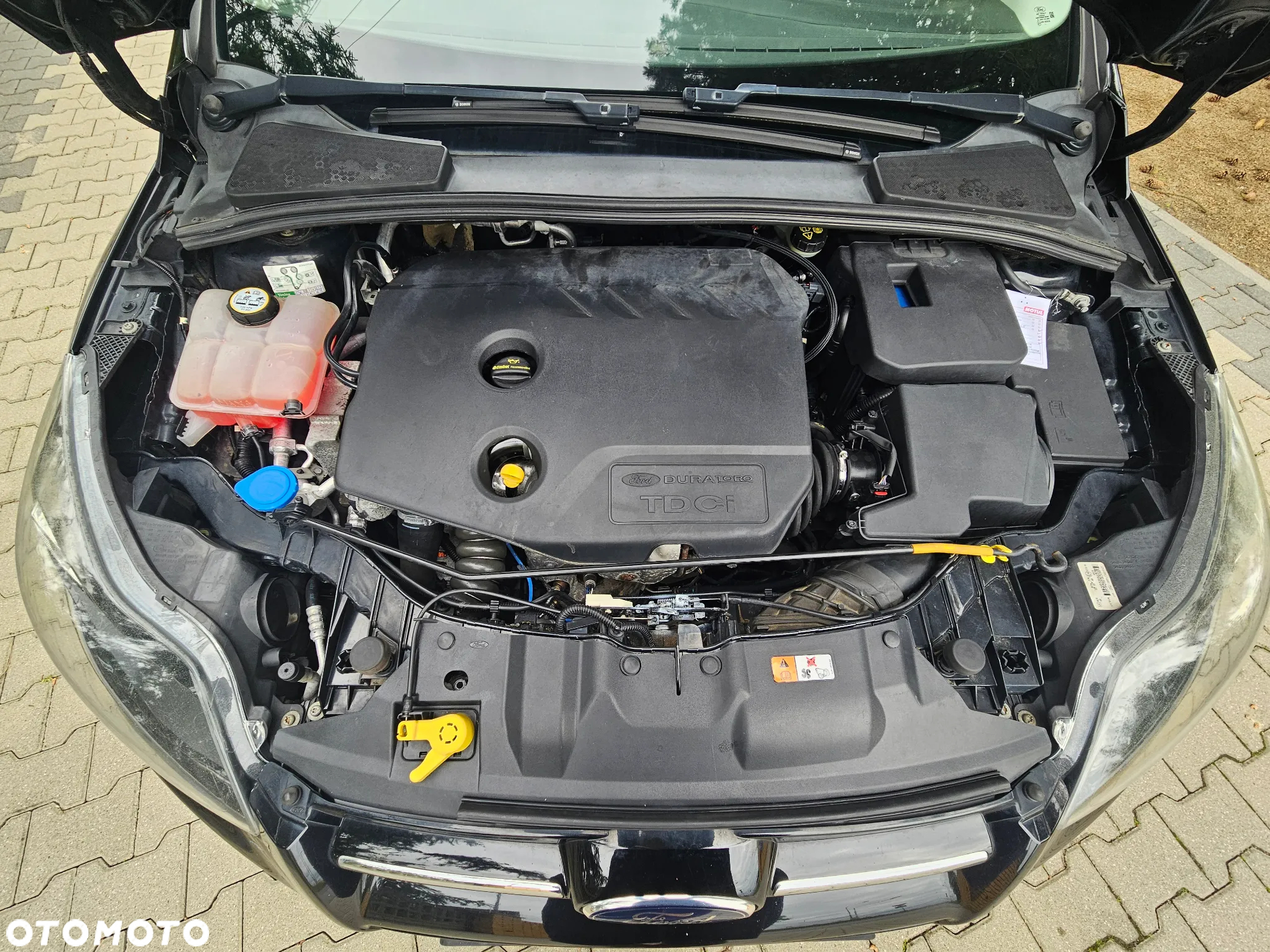 Ford Focus 1.6 TDCi DPF Titanium - 29