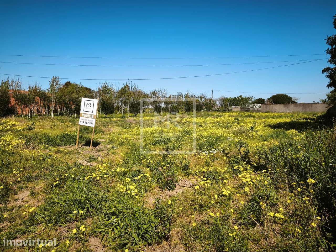 Terreno  Venda em Ouca,Vagos - Grande imagem: 2/4