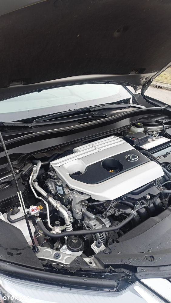 Lexus UX - 22