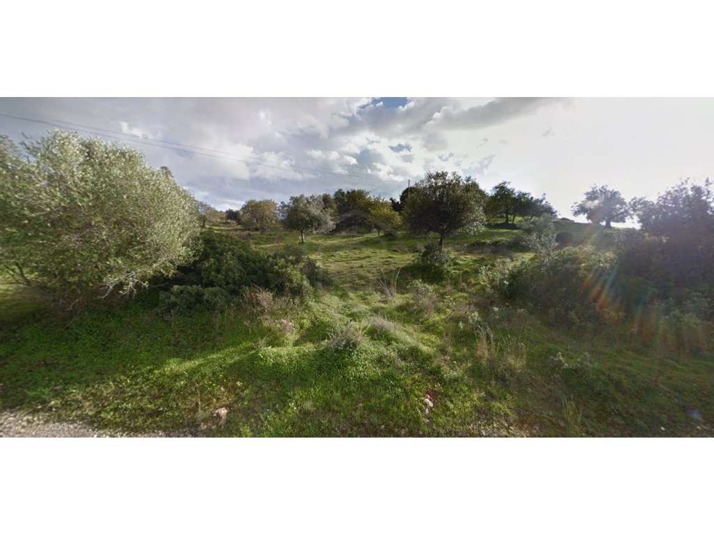 Terreno rústico, em zona agrícola, Montes Juntos, Guia, Albufeira, ... - Grande imagem: 3/5
