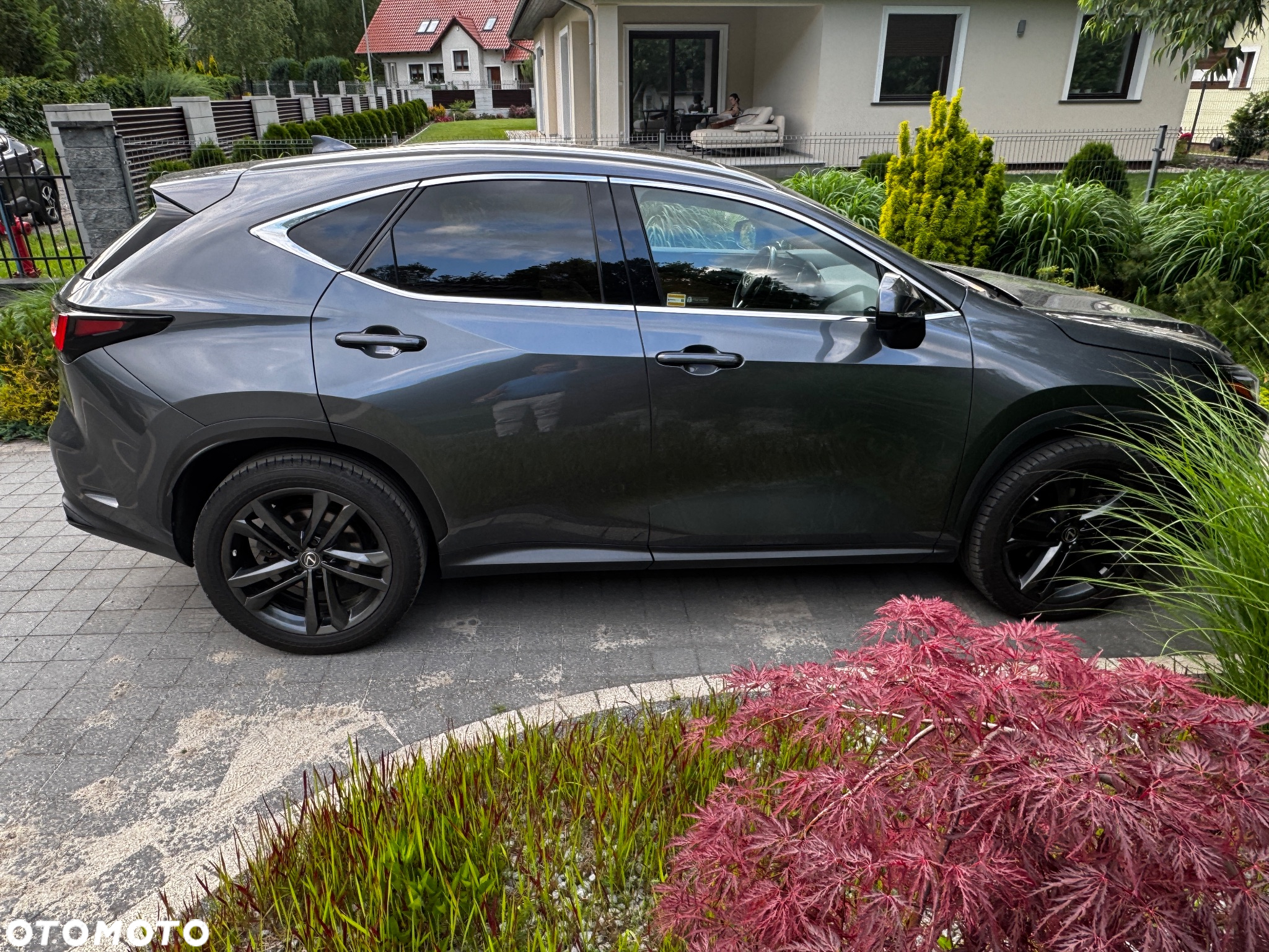 Lexus NX 300 GPF Prestige AWD - 7
