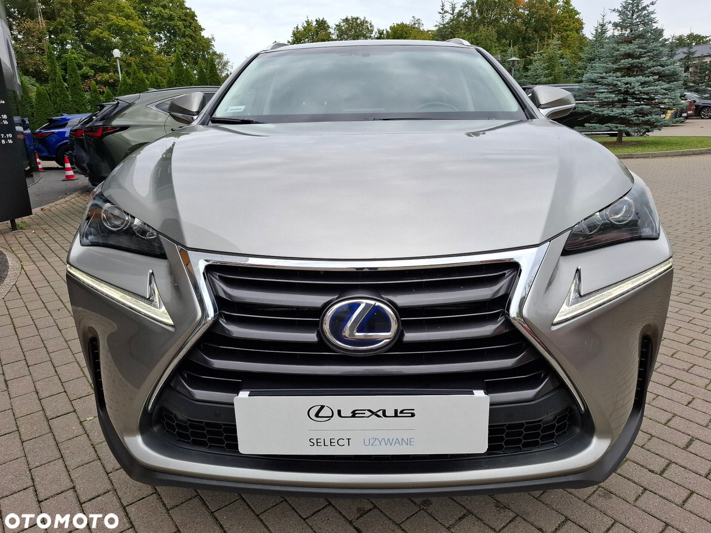 Lexus NX 300h Comfort AWD - 8