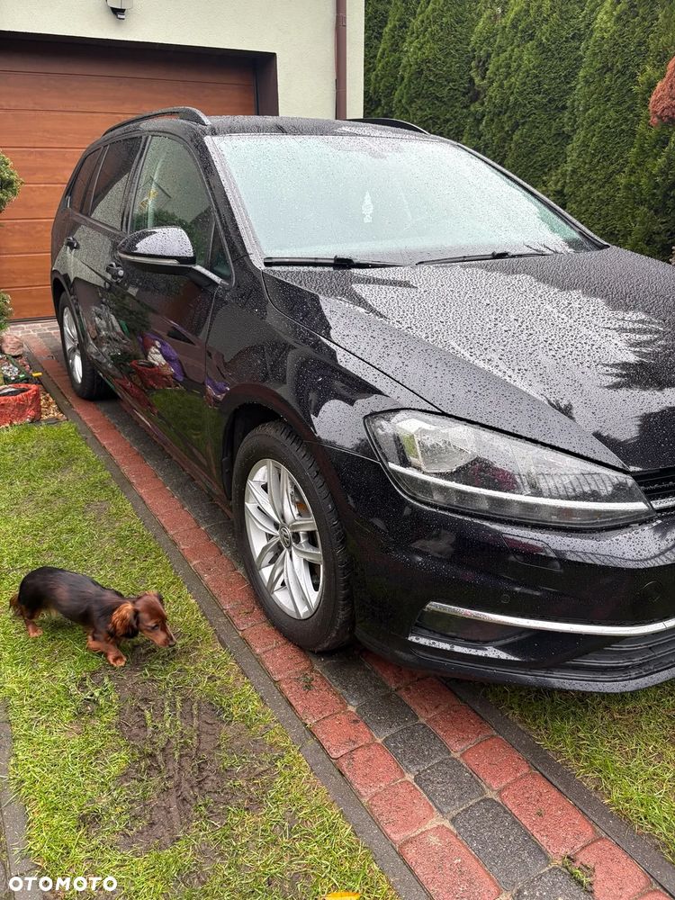 Volkswagen Golf 1.6 TDI BMT Highline DSG - 26