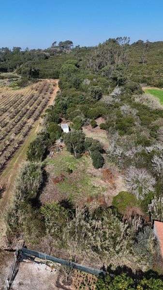 Terreno rustico - Grande imagem: 2/4