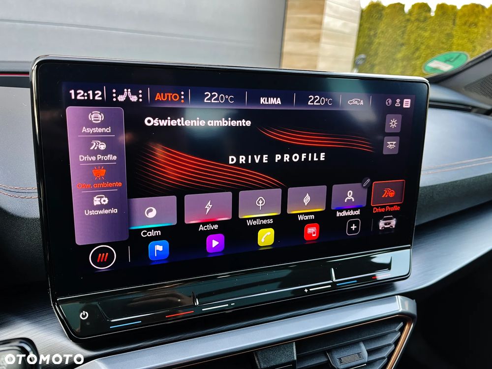 Cupra Formentor VZ 2.0 TSI DSG Tribe Edition - 30