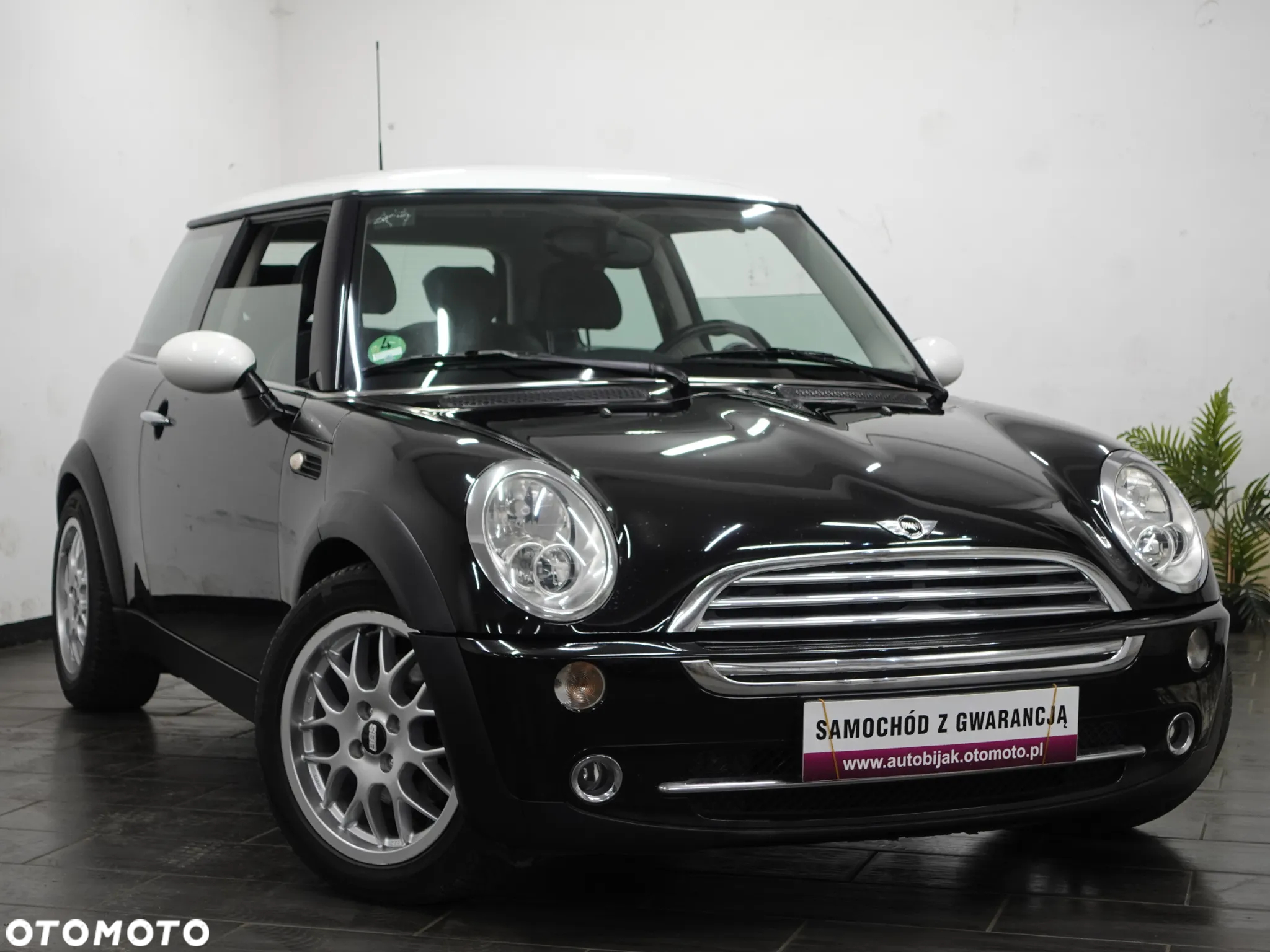 MINI Cooper pepper - 11