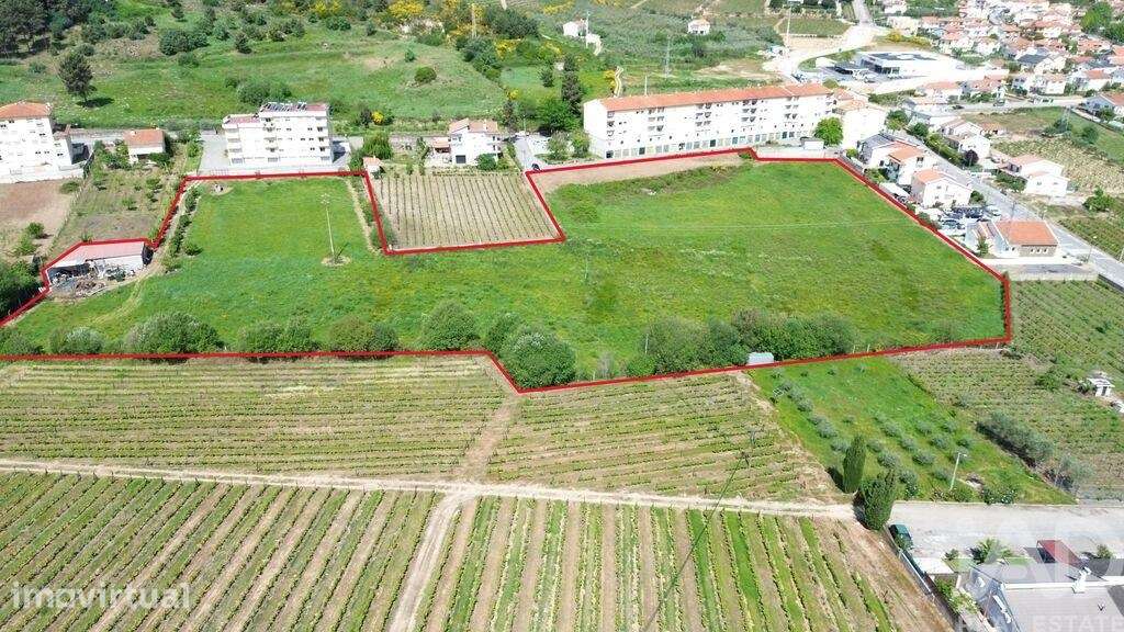 Terreno Agrícola em Alijó - Grande imagem: 2/12
