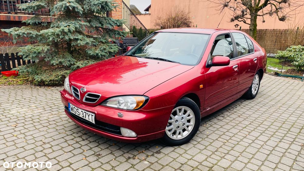 Nissan Primera - 6
