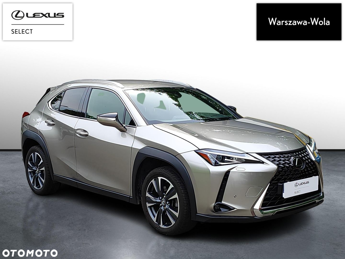 Lexus UX 200 GPF Business Edition 2WD - 9