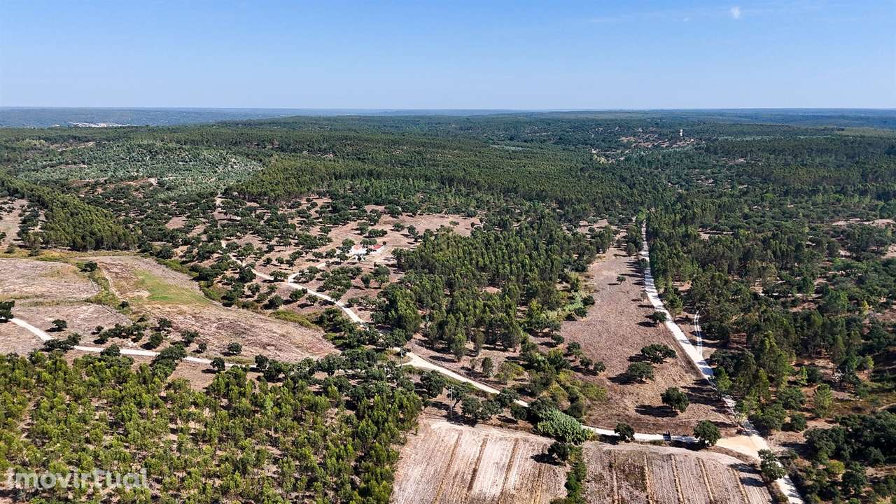 Herdade com total de  140 ha na freguesia da Raposa, Almeirim - Grande imagem: 3/35