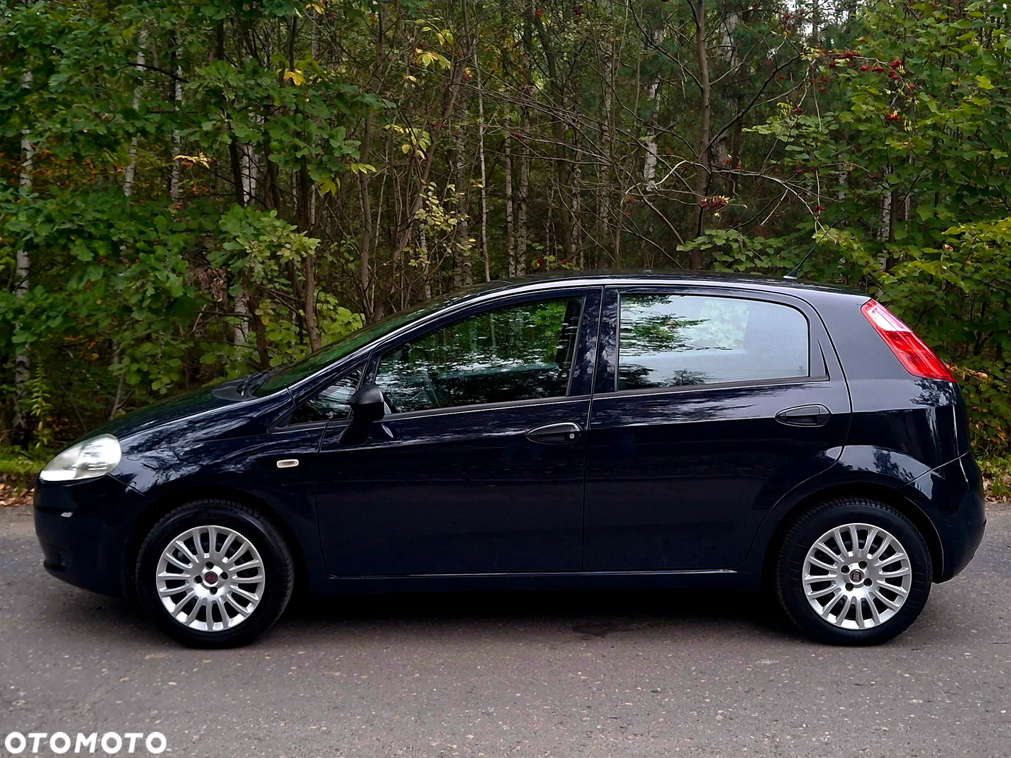 Fiat Grande Punto Actual 1.2 8V Estiva - 17
