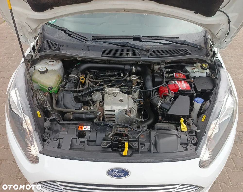 Ford Fiesta 1.0 EcoBoost Champions Edition - 29