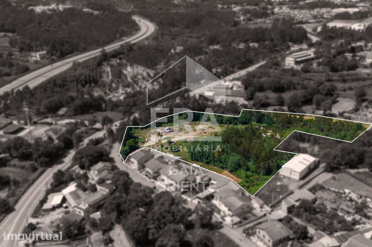 Terreno rústico com 16.179 m² em Olival - Grande imagem: 4/5