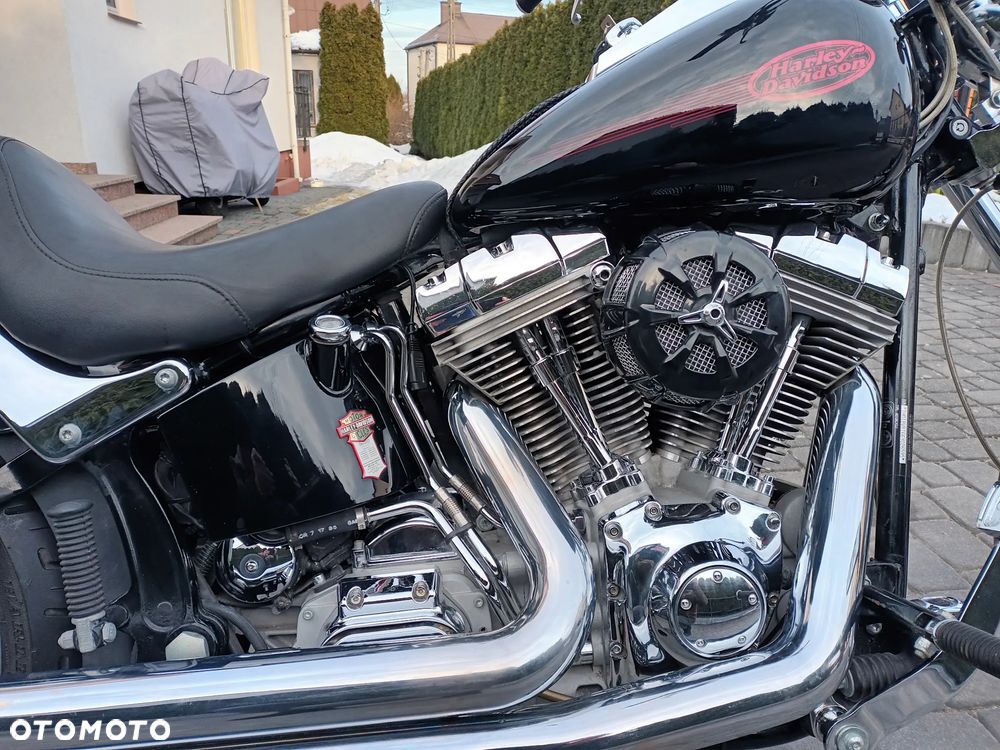 Harley-Davidson Softail Standard - 3