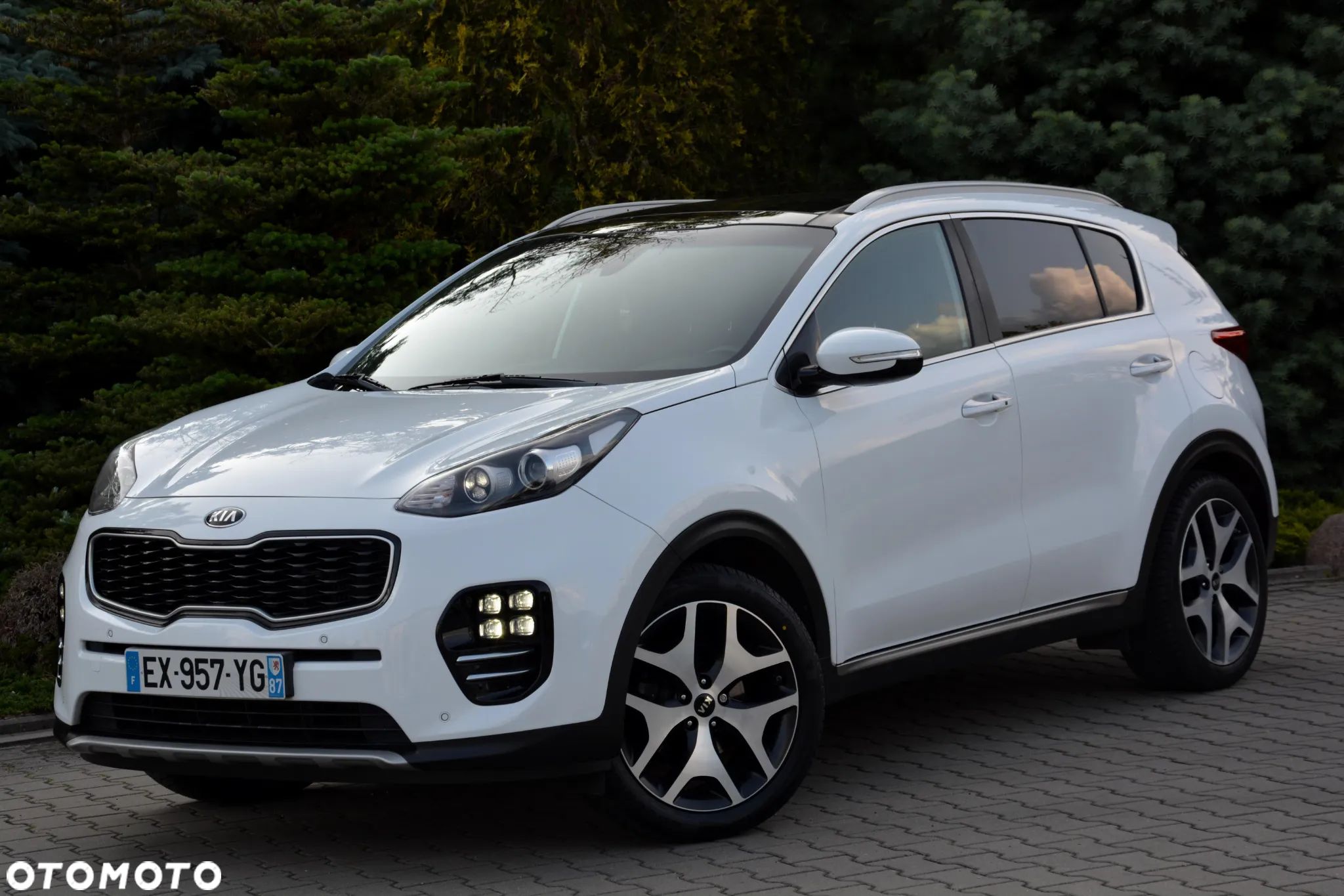 Kia Sportage - 1