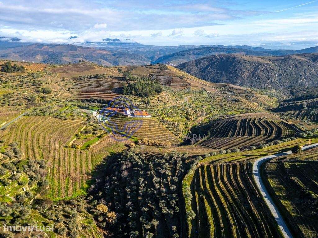 Quinta  de Turismo Rural com 20 hectares - Grande imagem: 5/60