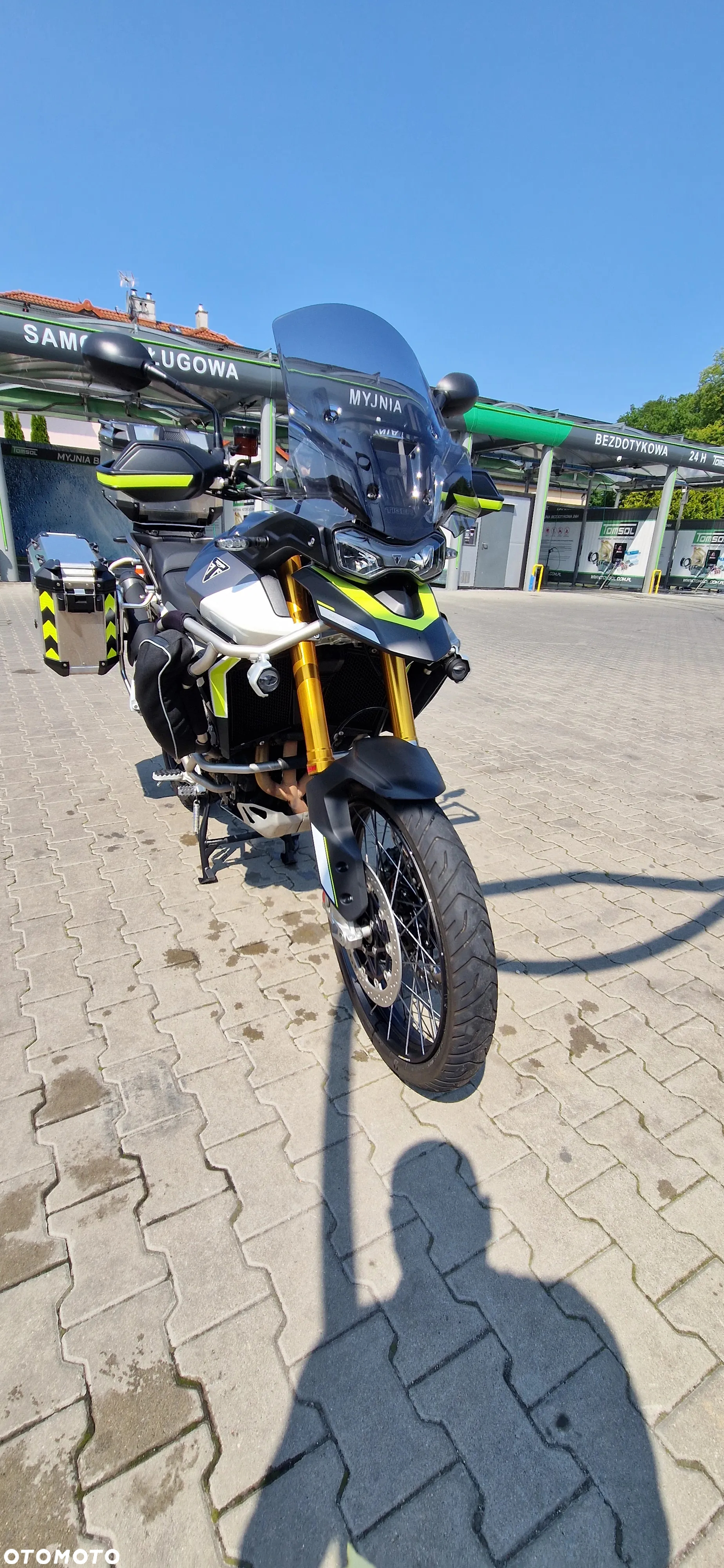 Triumph Tiger - 12