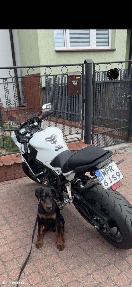 Honda CBR - 6