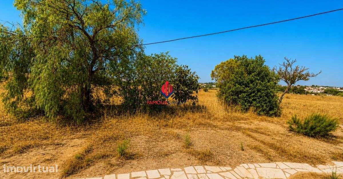 Quinta com 40.938 m2 e moradia legalizada de 300 m2 junto a Lagos... - Grande imagem: 2/60